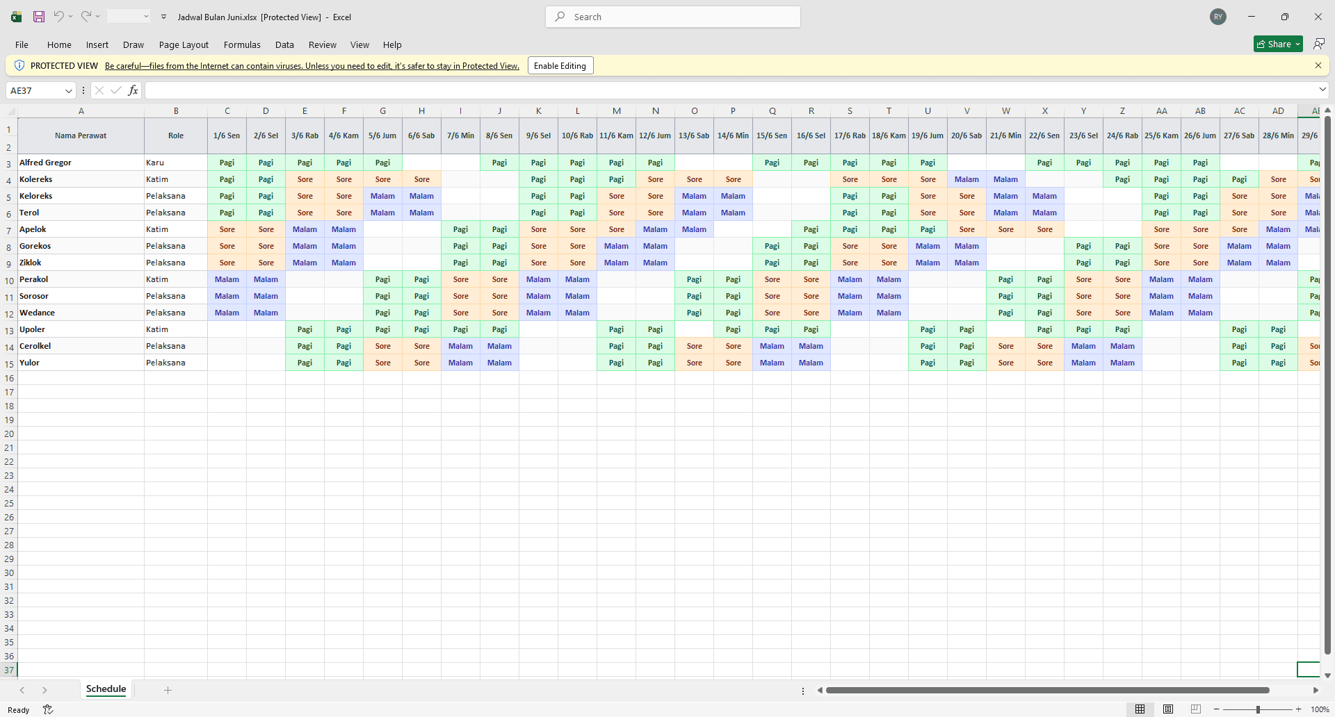 NurseSched screenshot 3